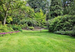 Optimiser l'expérience du jardin à Clergoux